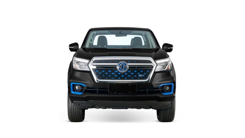 Dongfeng-Rich-6EV-11324465-12