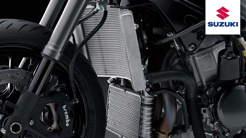 Suzuki-Hayabusa-4T-Negro-1020221116235047