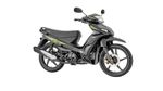 06497685-Negro-120210823142045