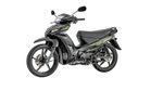 06497685-Negro-320210823142046