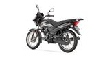 SPORT-100-ELS-NEGRO-0520220328215453
