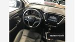 Isuzu-Adventure-Plus-1891039016-07_20241125223123