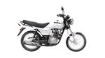 AX4-blanca20250323024131