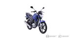 YBRZ-azul-202320240216164225
