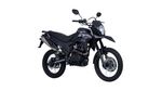 AKT-TTR-20020250313020317