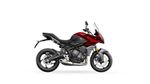 tiger-sport20240104201800