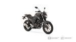 fz25_2024_negro2024021616565620250217150850