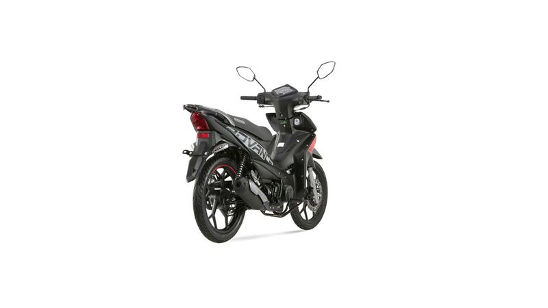 06388802-negro-0620230831180931