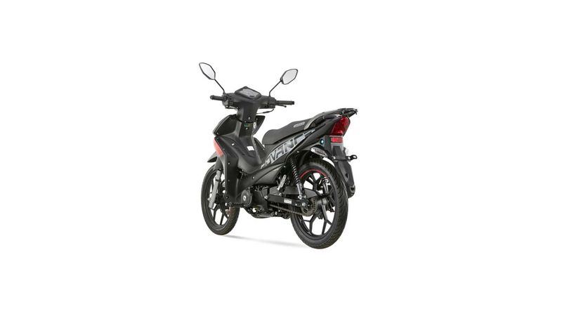 06388802-negro-1020230831180932