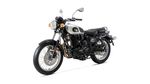 benelli-imperiale-gris-foto620220128174005
