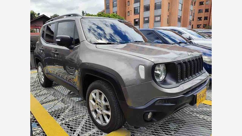 Jeep Renegade 449 Gris