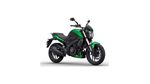 Bajaj-Dominar-400-Verde-0220220216193702